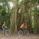 -004 Ruine de Coba